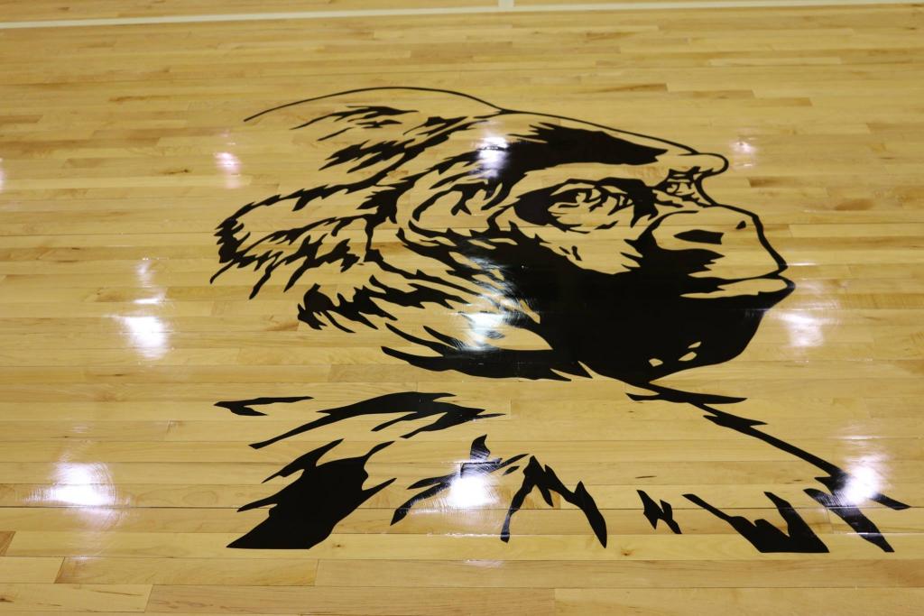 A photo of the gorilla mascot artwork on the gym floor