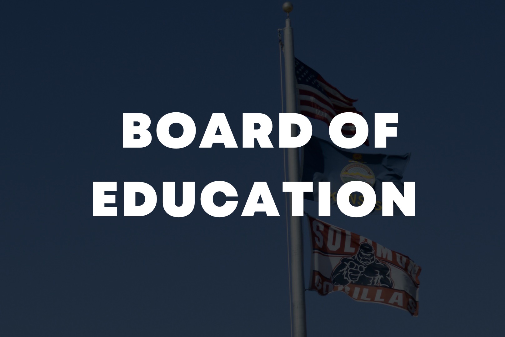board of education button