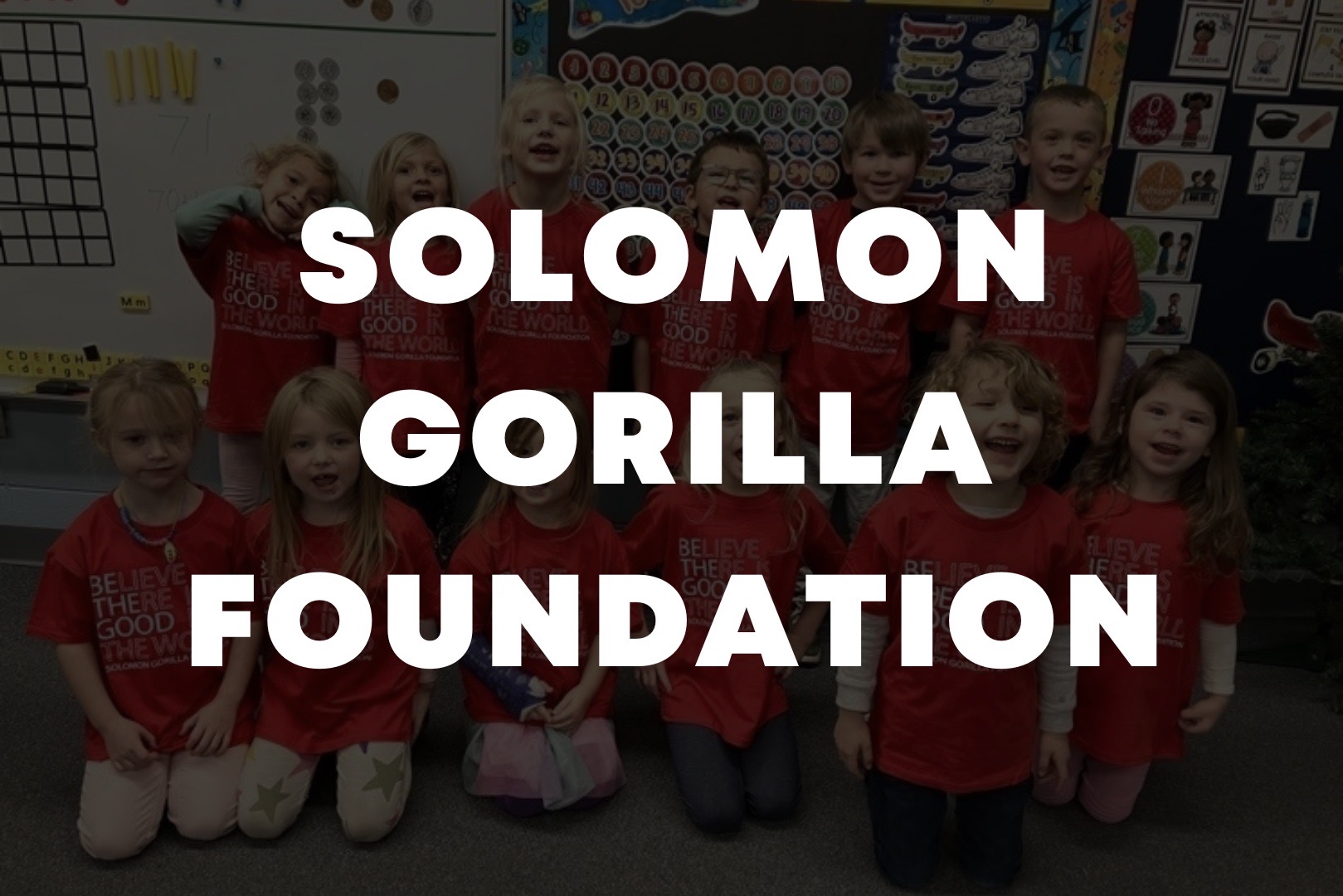solomon gorilla foundation button 