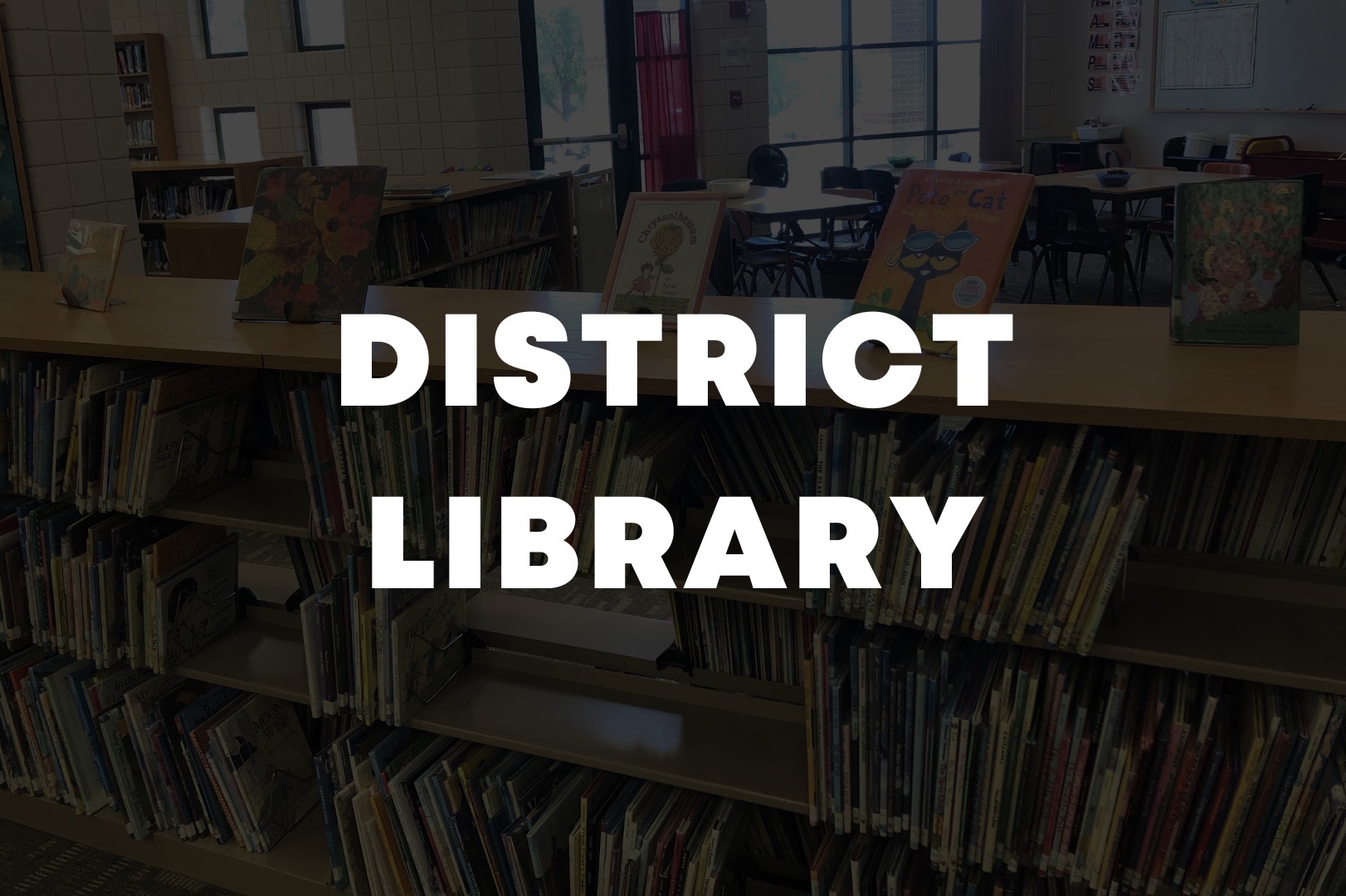 district library button 