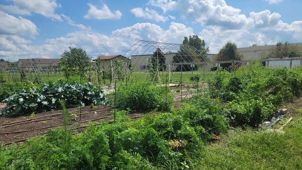 Community Garden at ALC