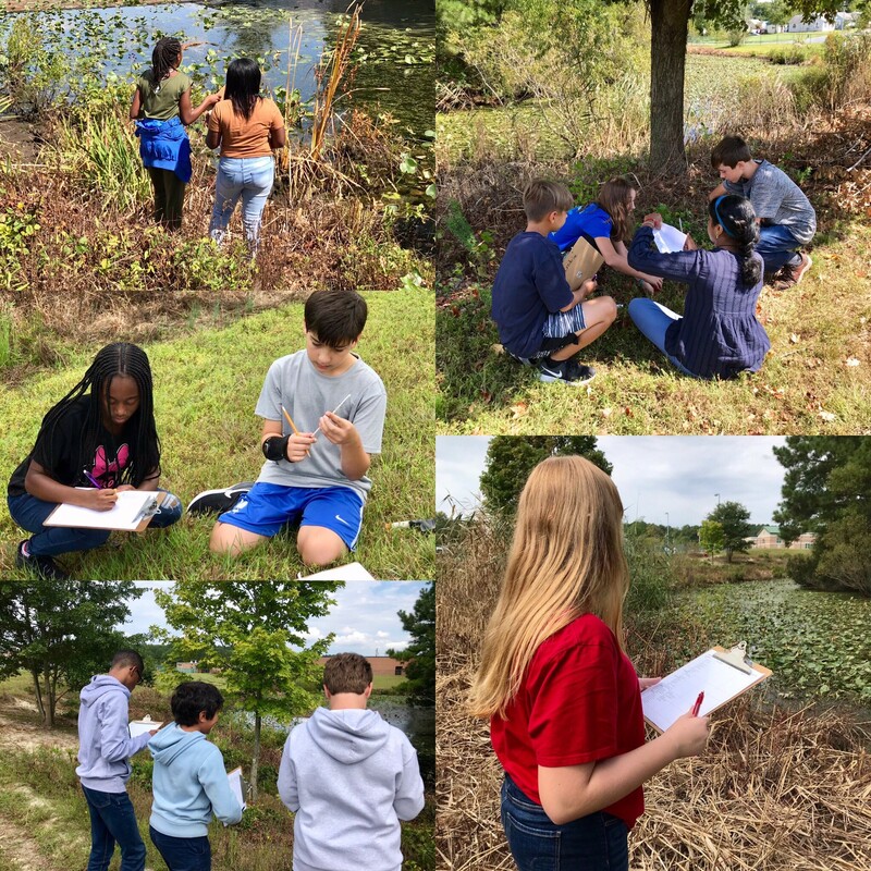 Image of students working in the field and in the garden