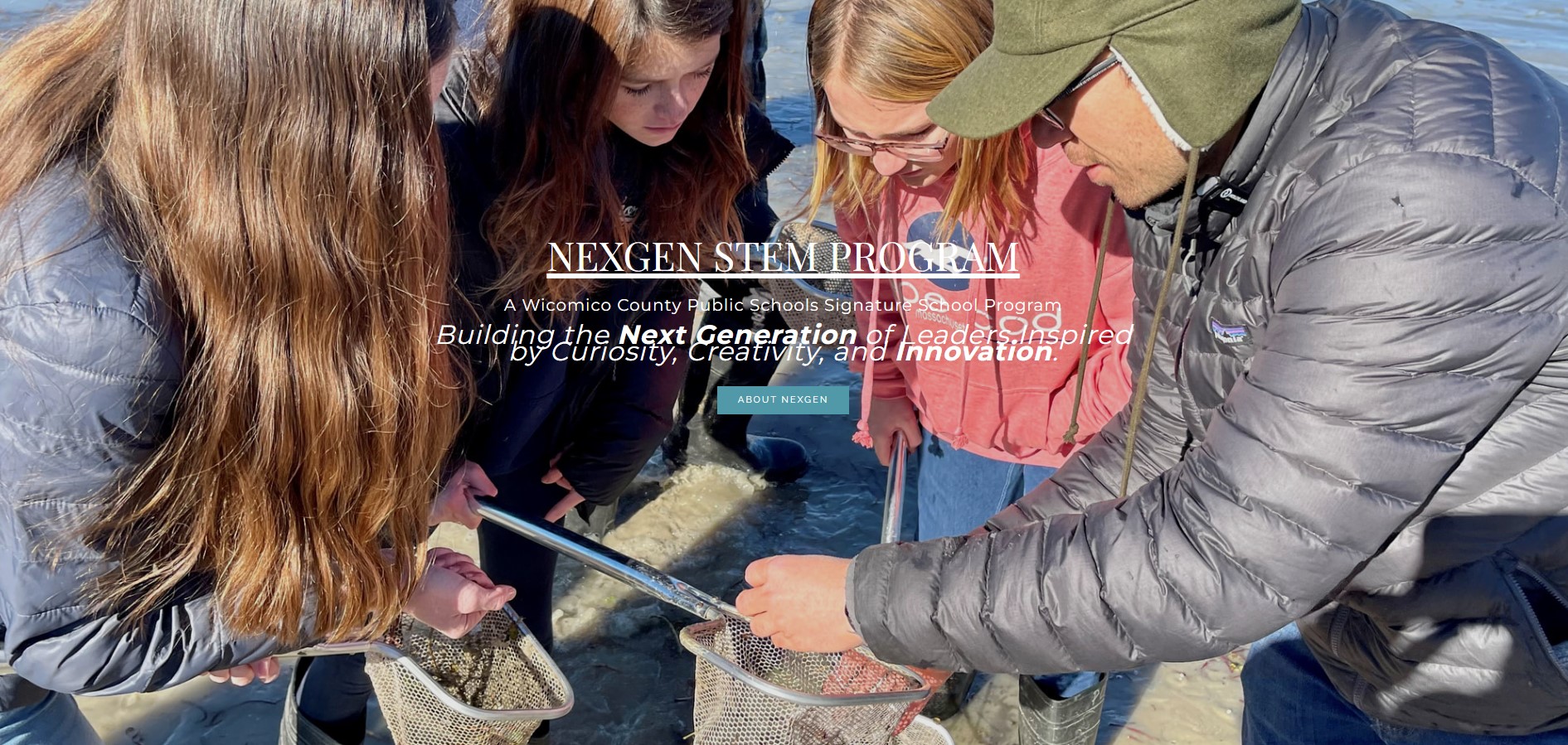 image of students with teacher observing marine life at the water