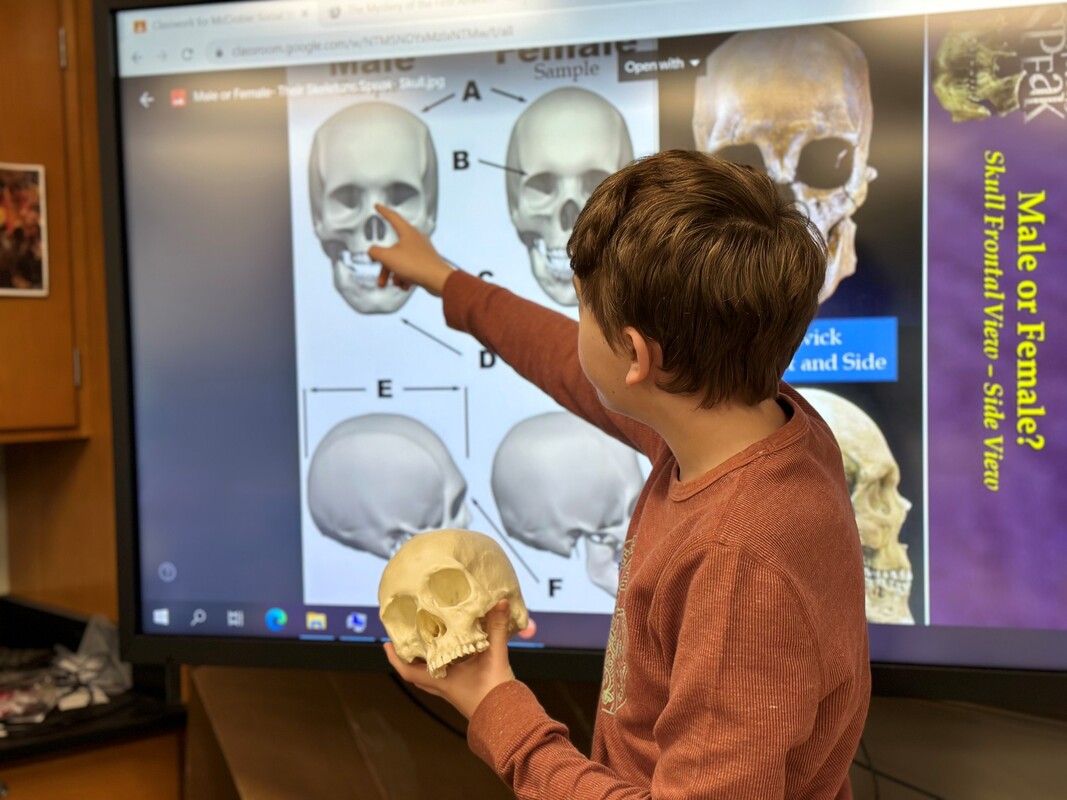 Image of Student pointing to TV monitor