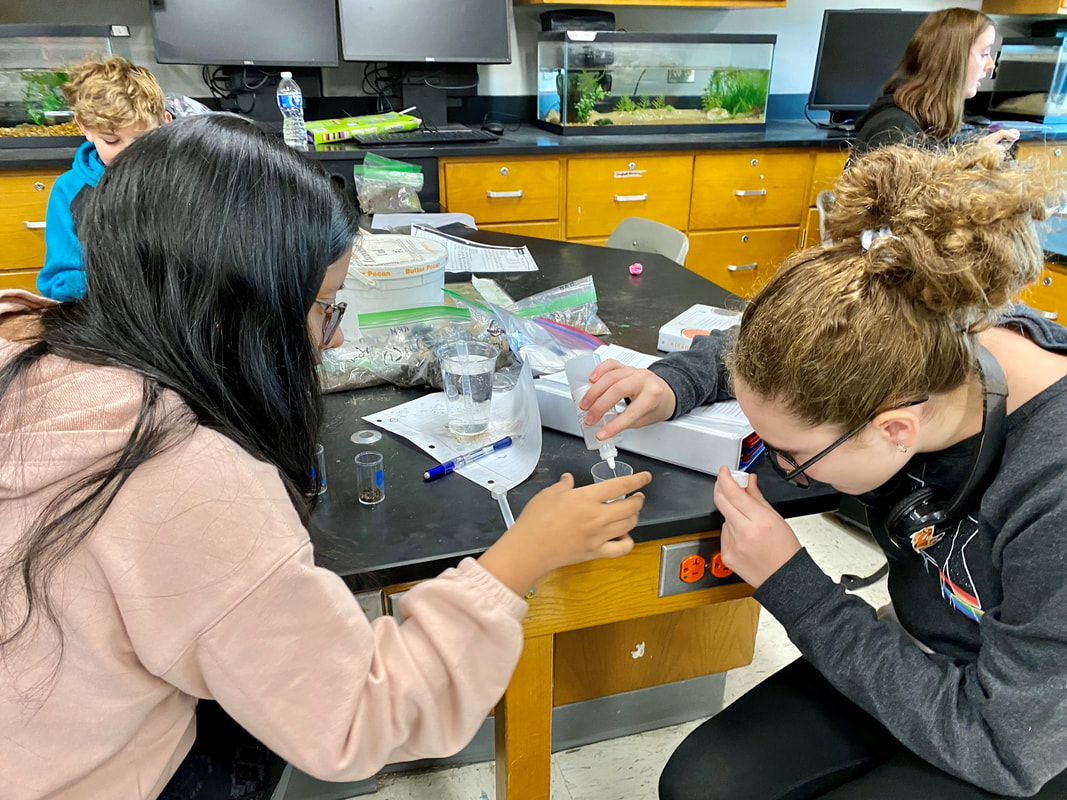 Image of students mixing chemicals for an experiment