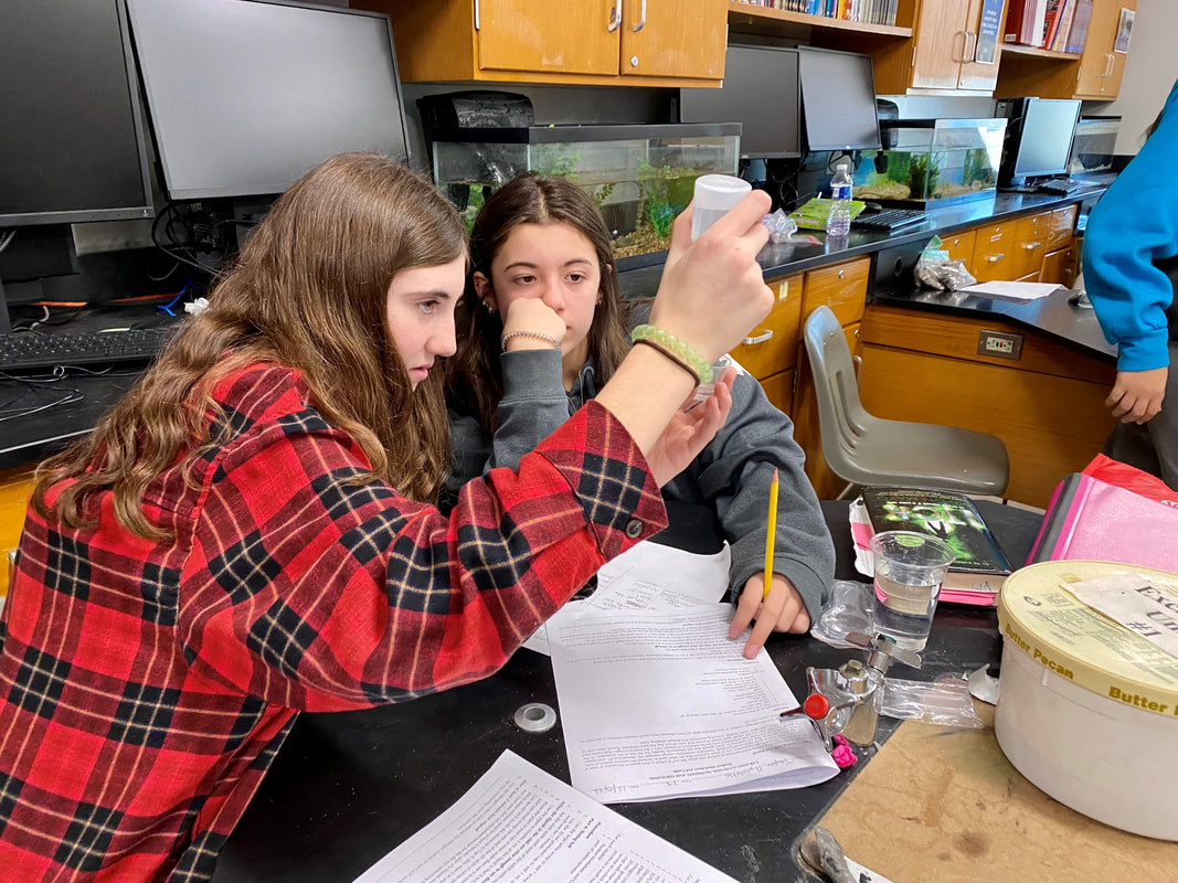 Image of students discussing what they see during an experiment