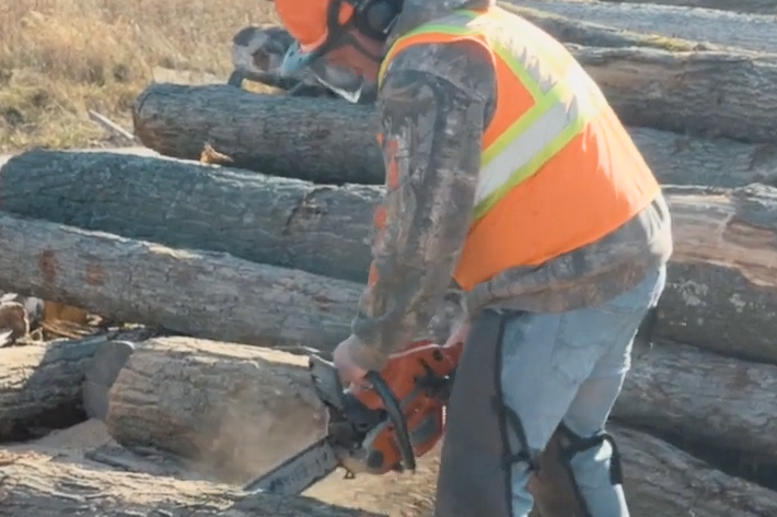 Student using a chainsaw