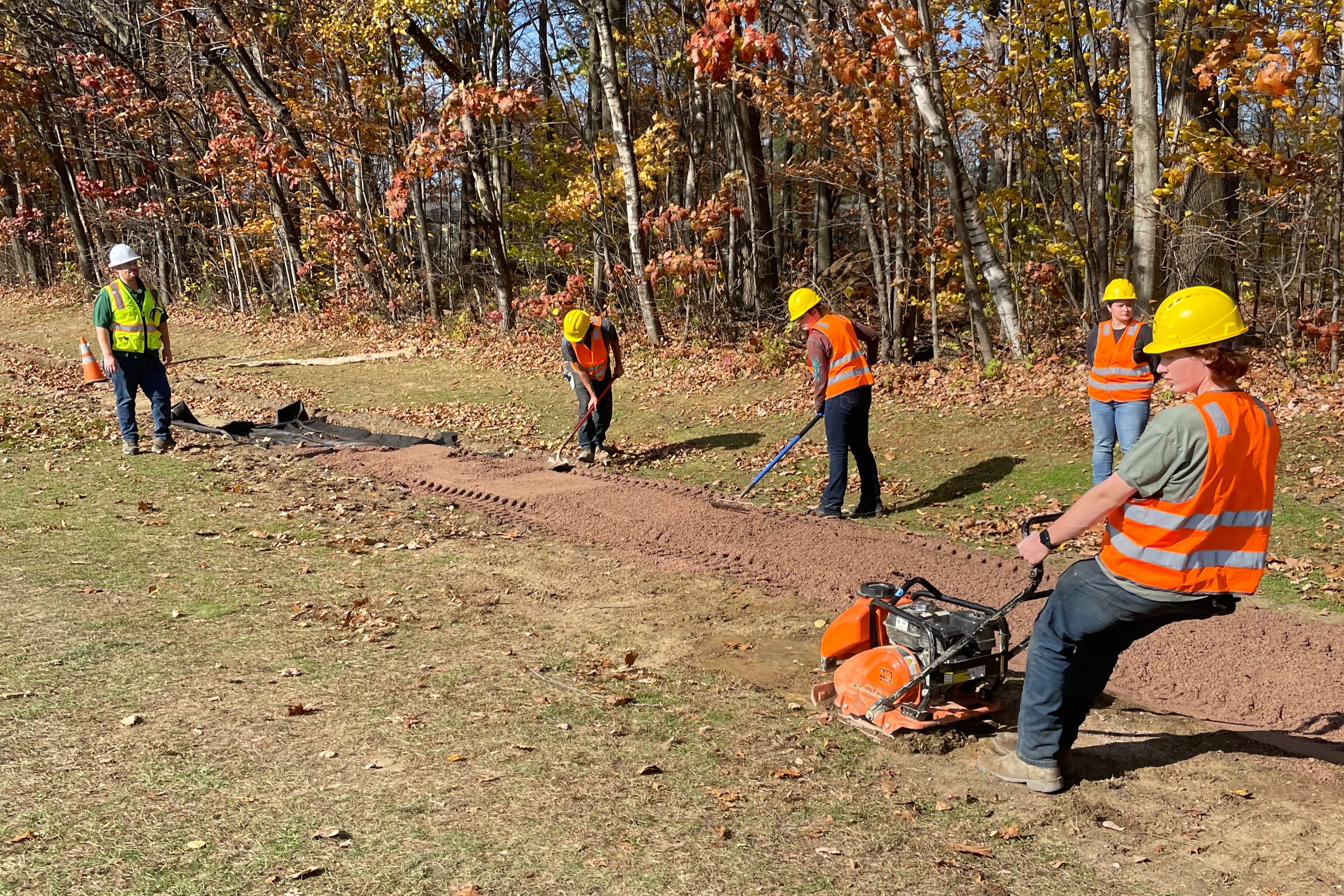 Students working 