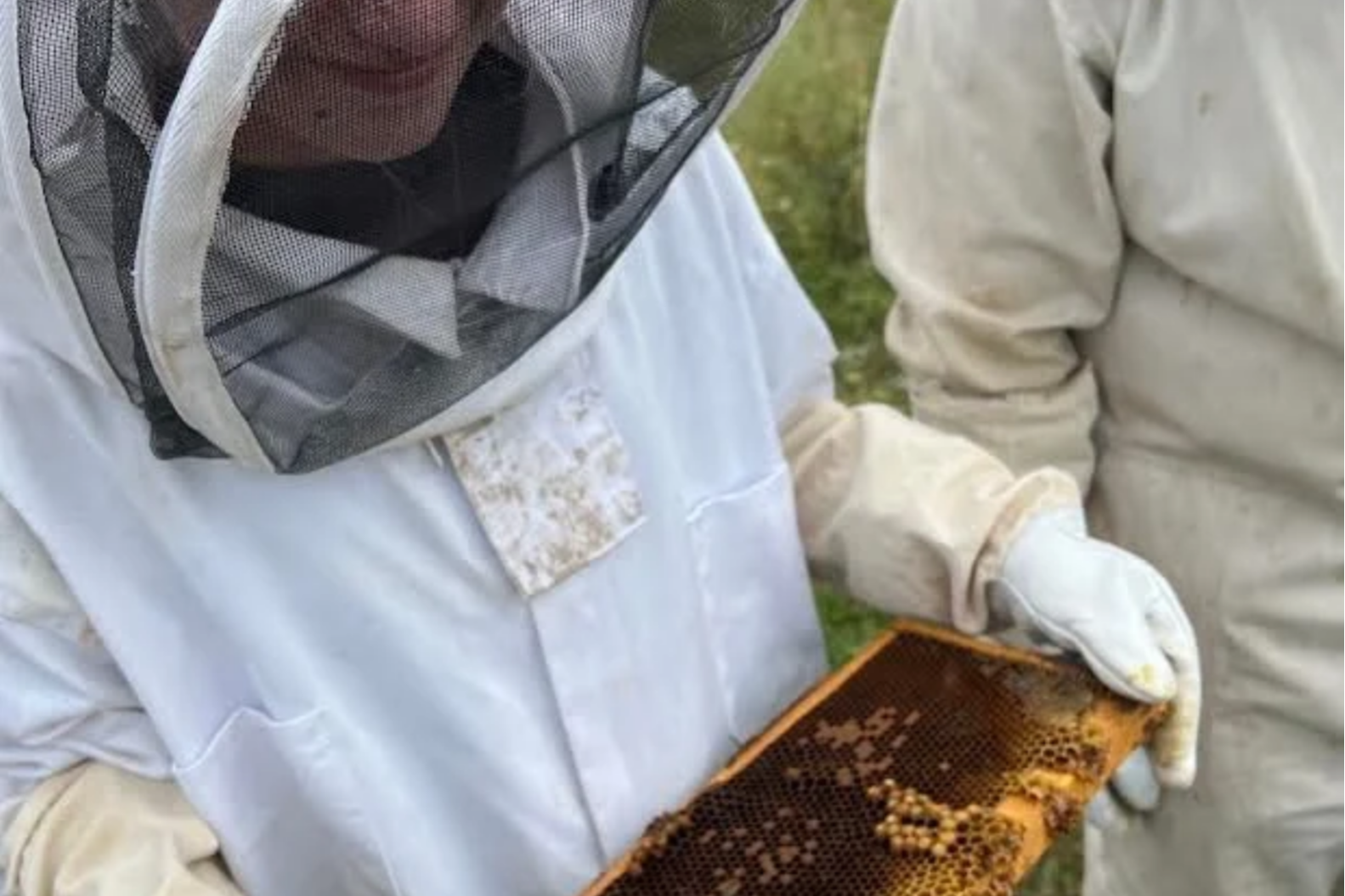 Two people in protective suits with a bee hive; one holds a bee box with bees.