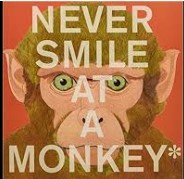 Never smile at a monkey