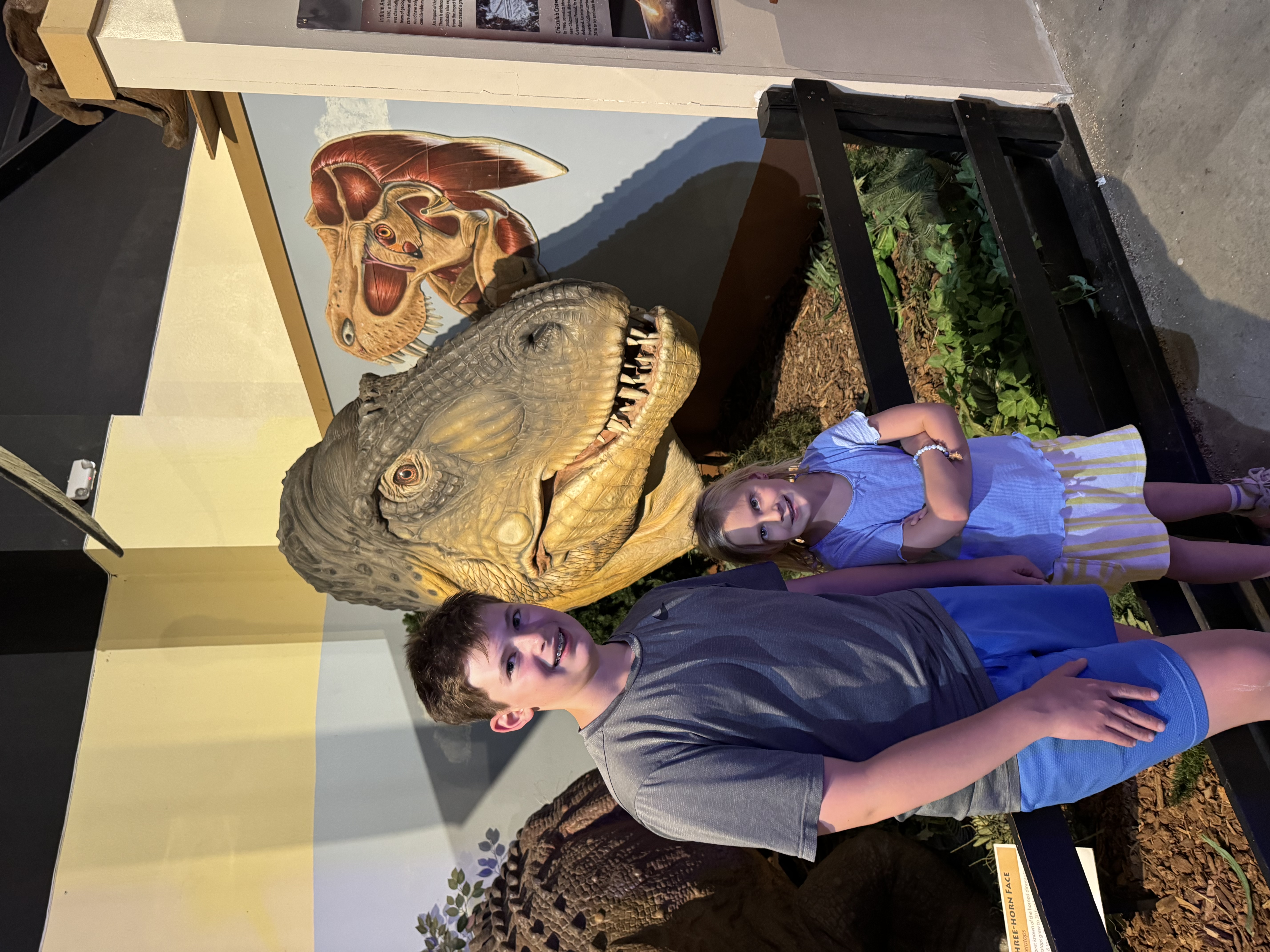 dinos