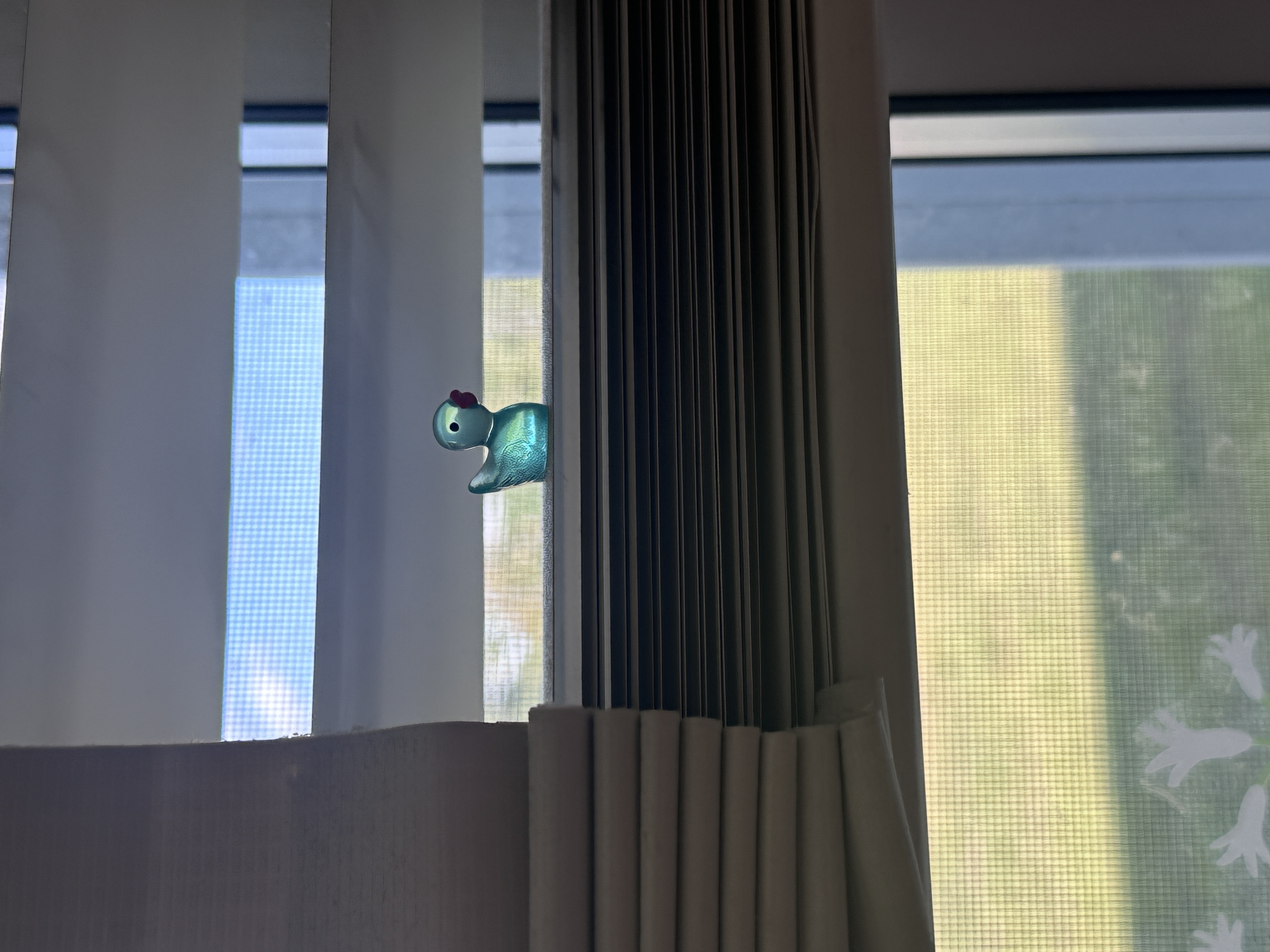 duck