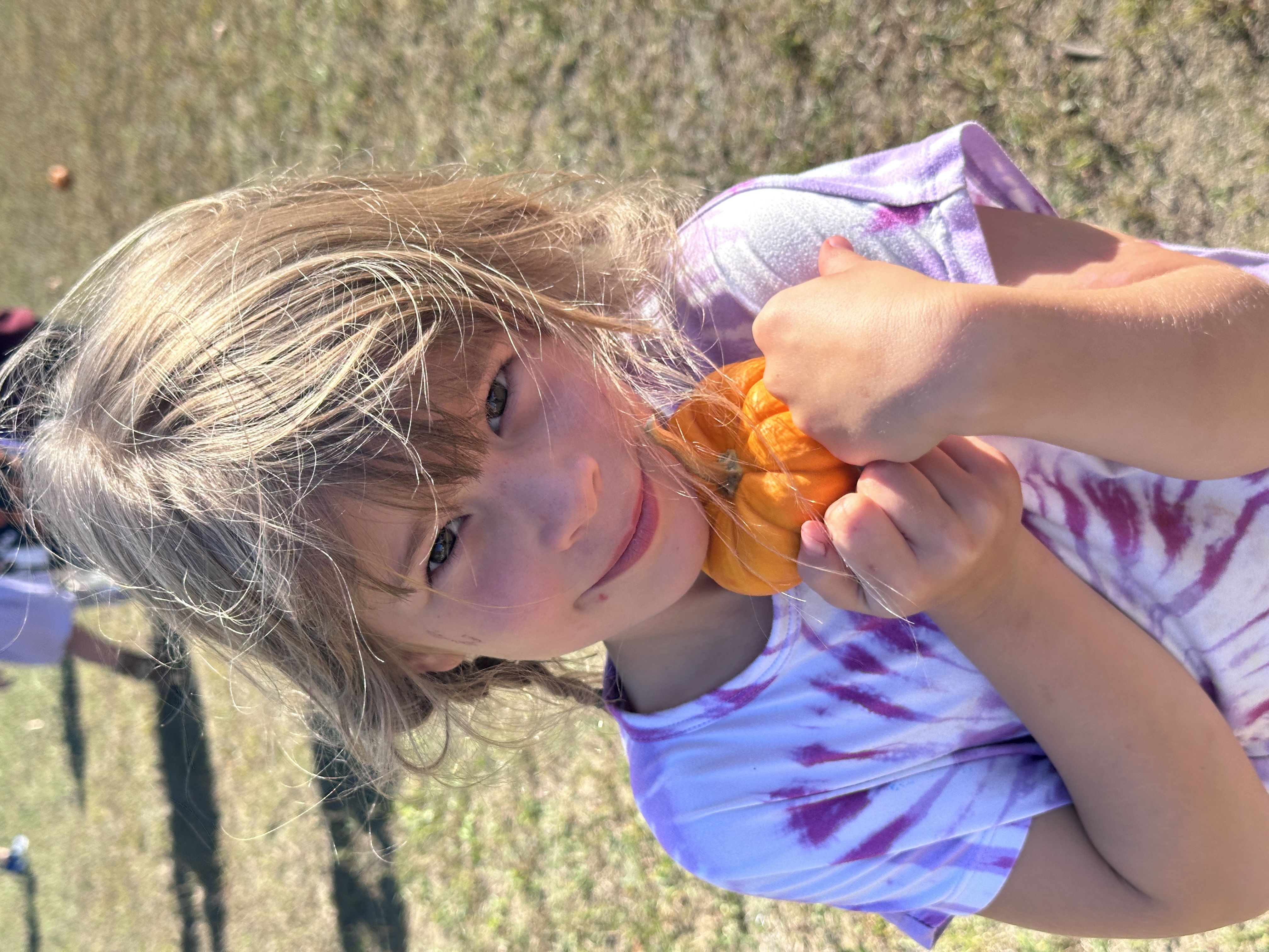pumpkins