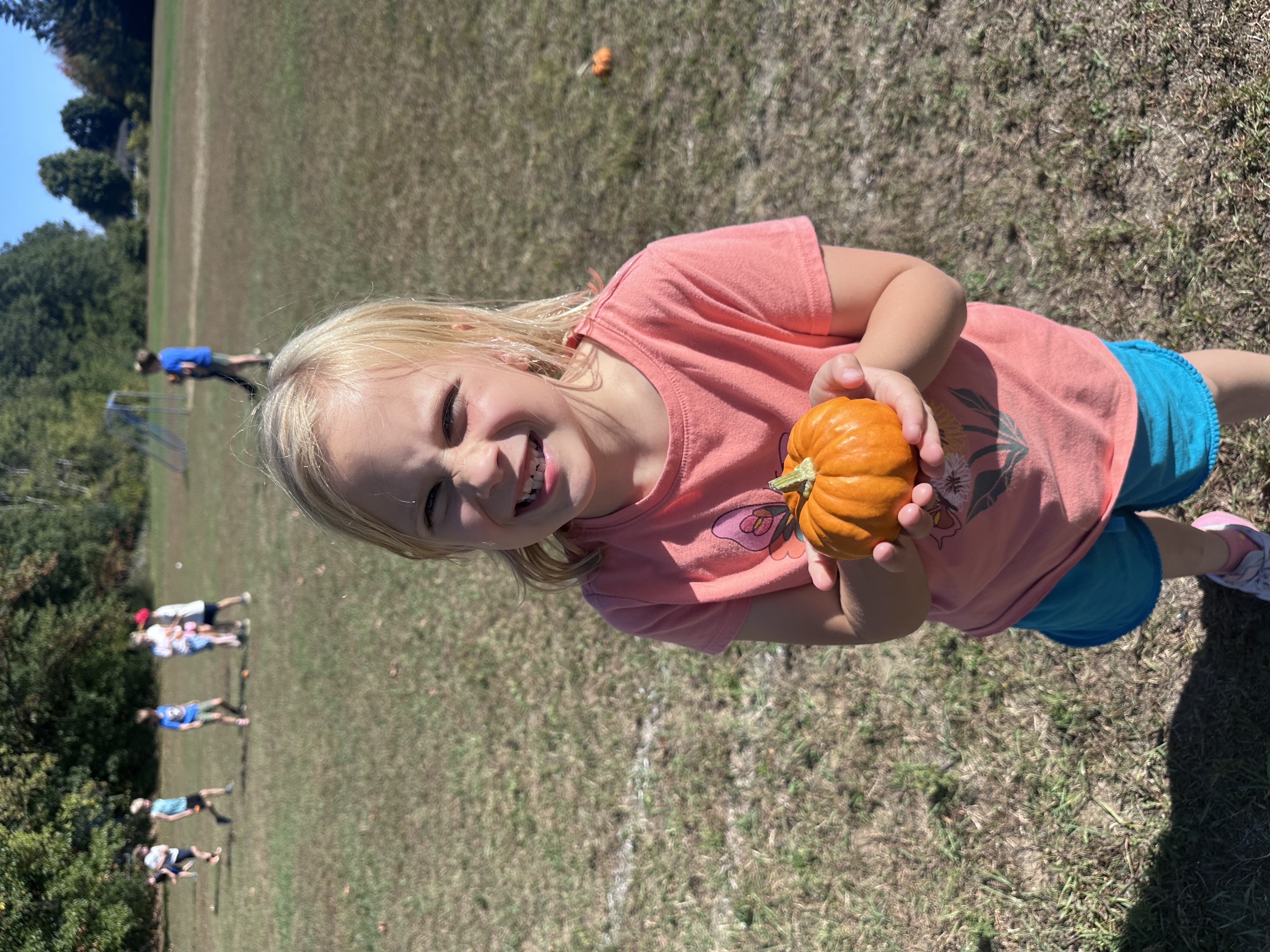 pumpkins