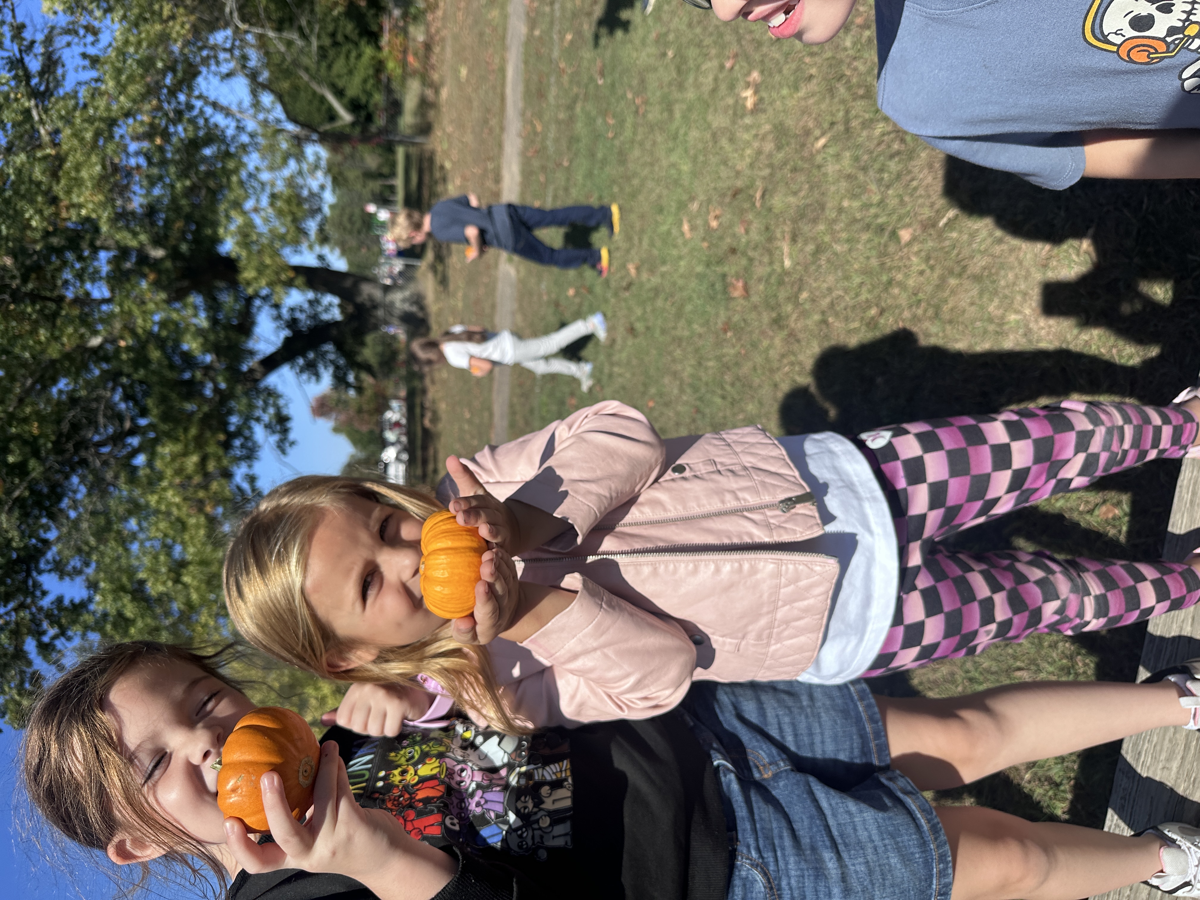 pumpkins