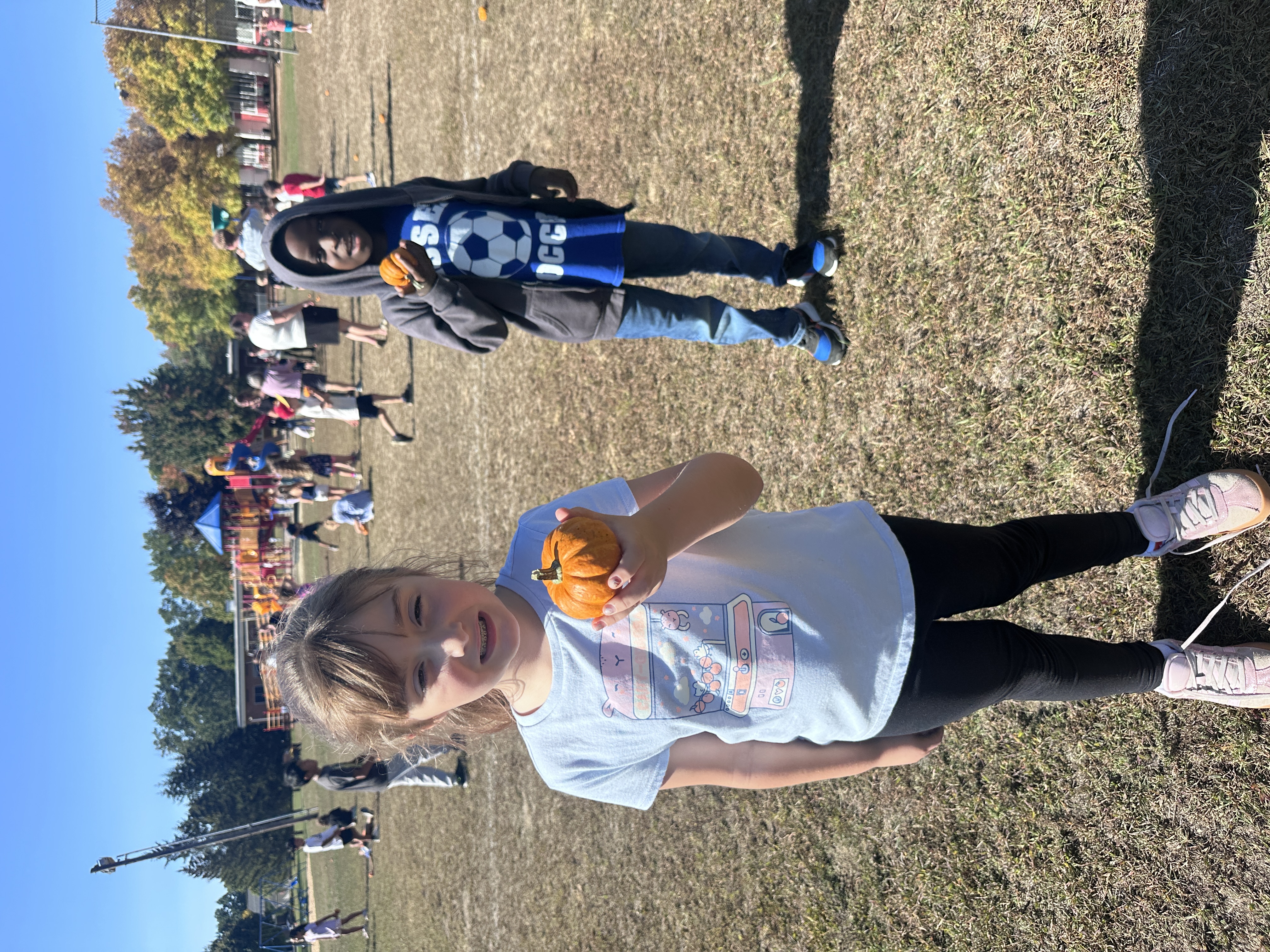 pumpkins