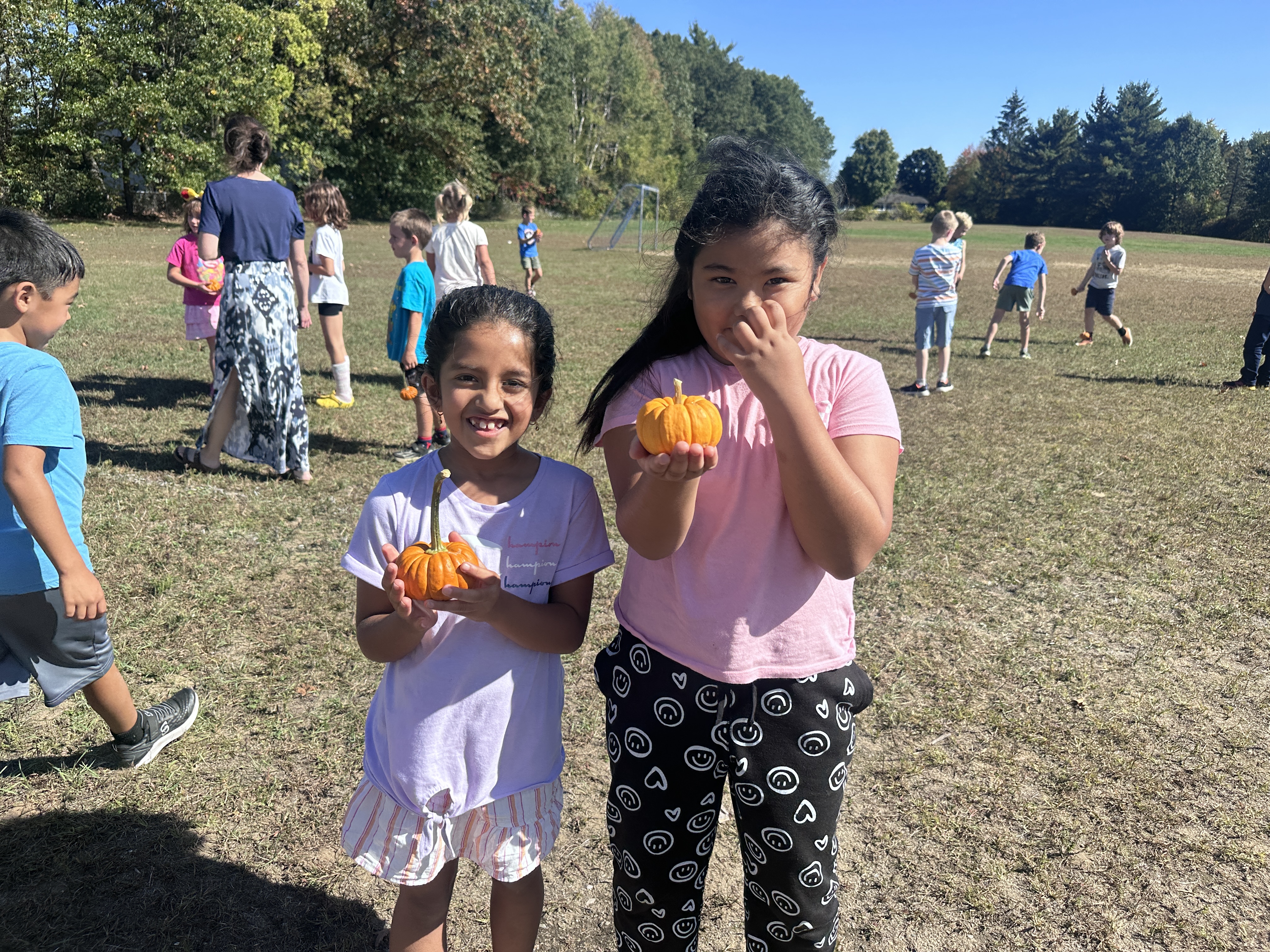 pumpkins