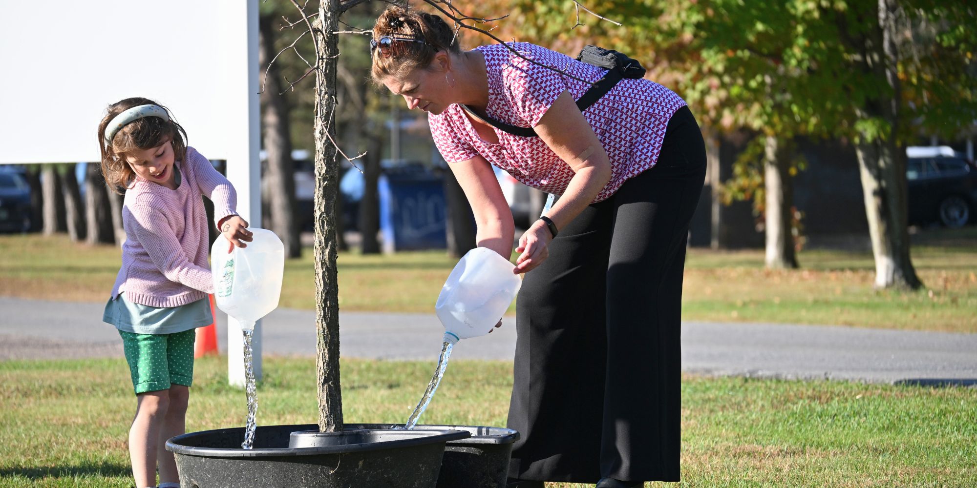 tree watering