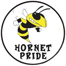 photo of hornet