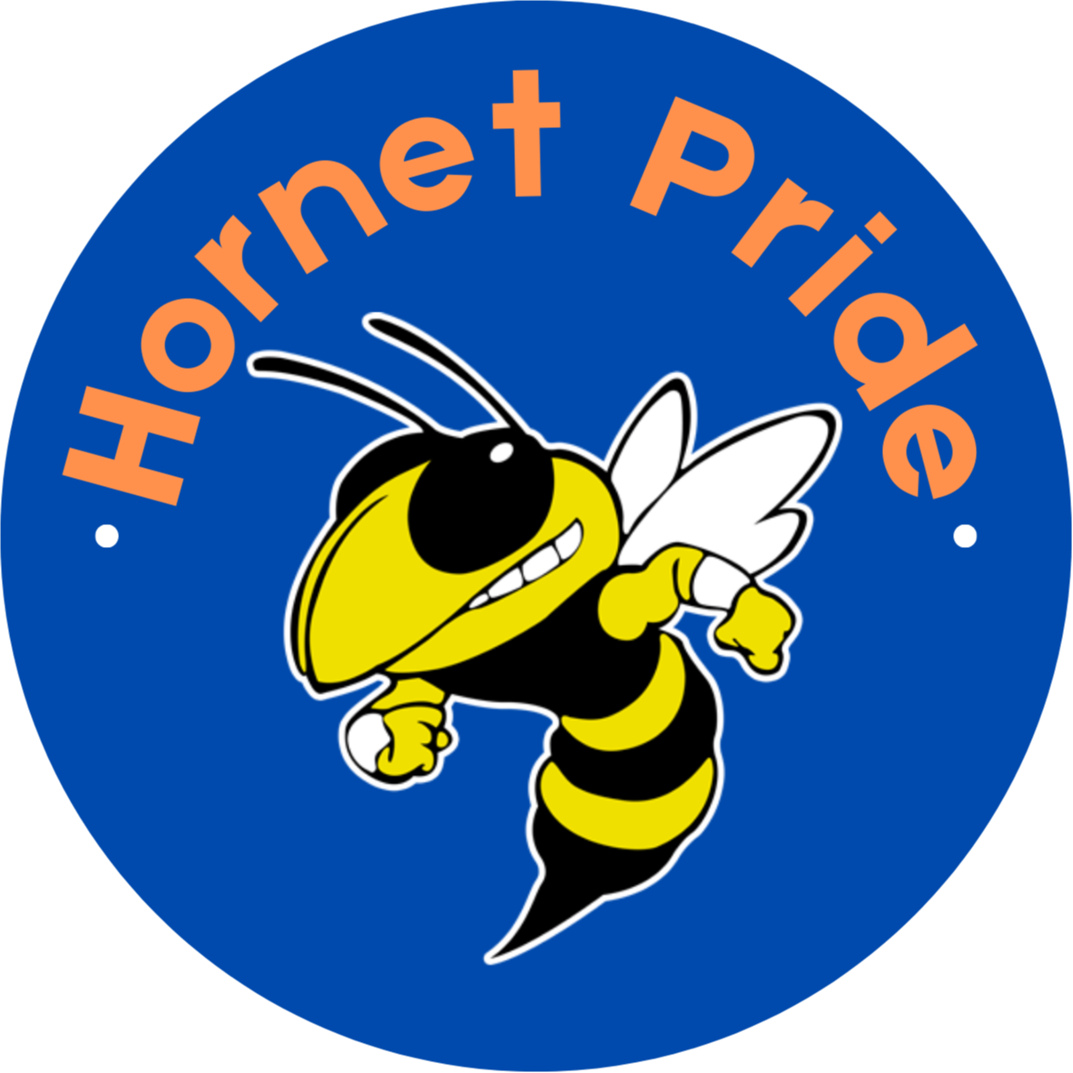 photo of hornet