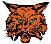 Bobcat Logo