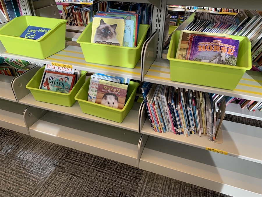 media-center-showell-elementary-school