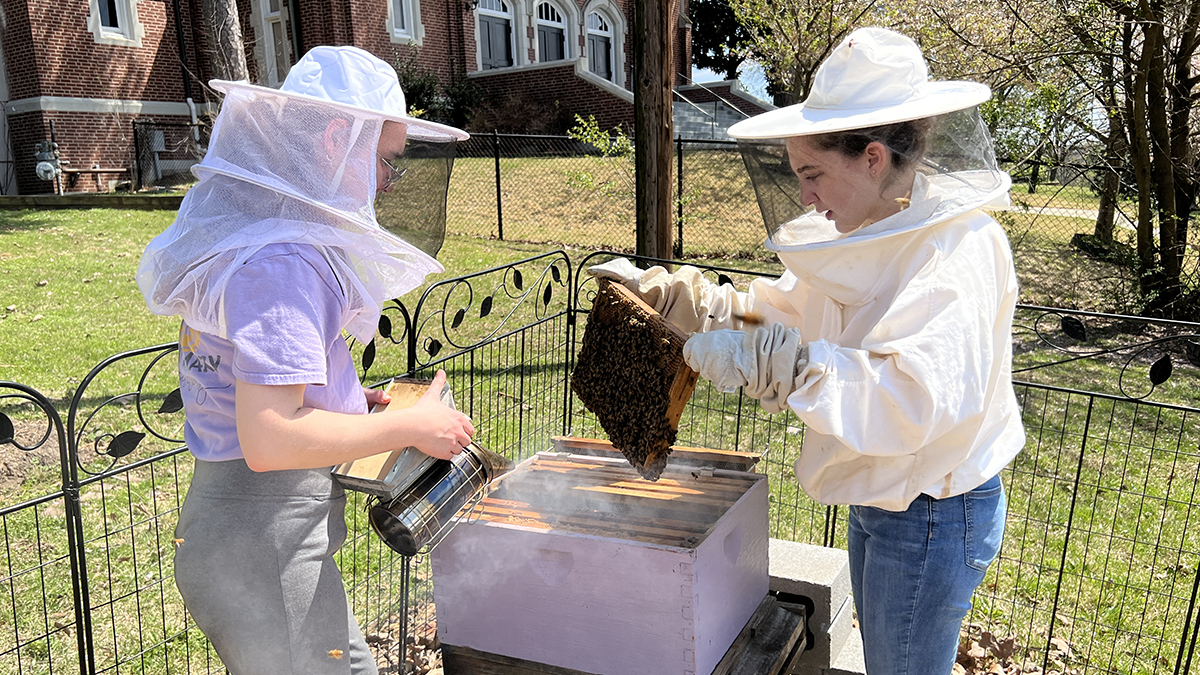 two HoneyBelles Bee Club members tending to the on-campus bee hive