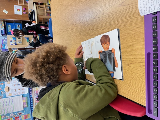 Prek