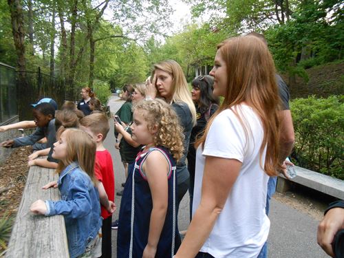 kids at zoo