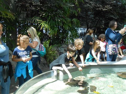 kids at zoo