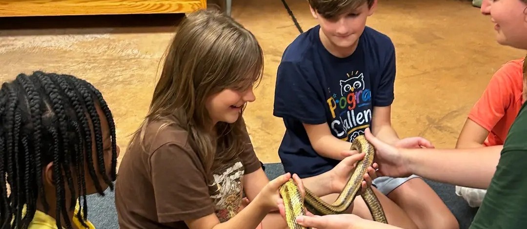 snake