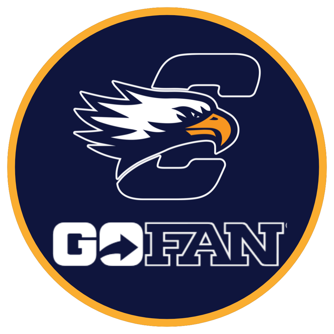 go fan button