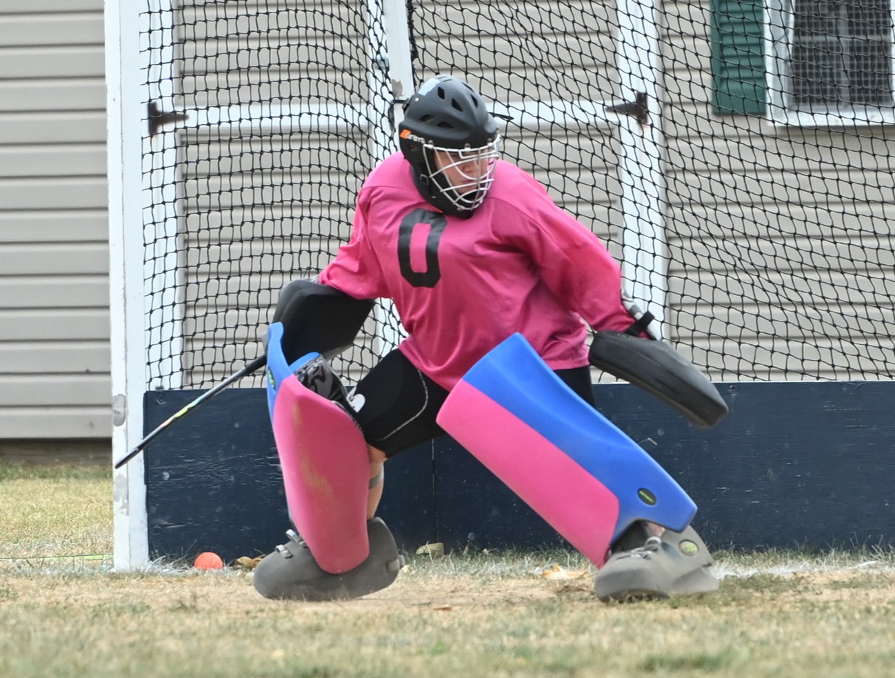 V goalie Fall 2024