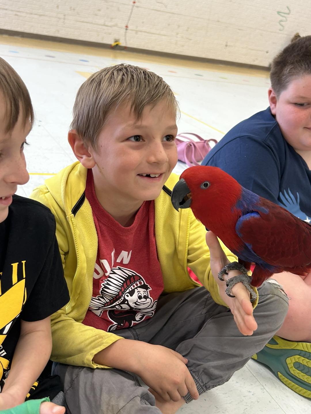 boy with bird