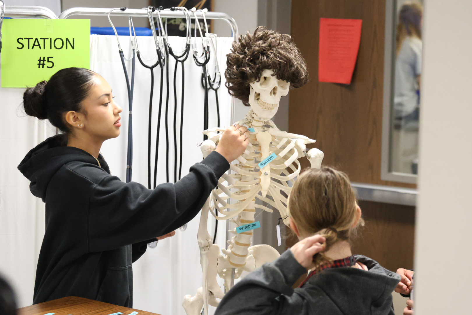 CTE student with skeleton