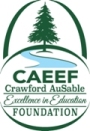 caeef foundation logo in blue and green