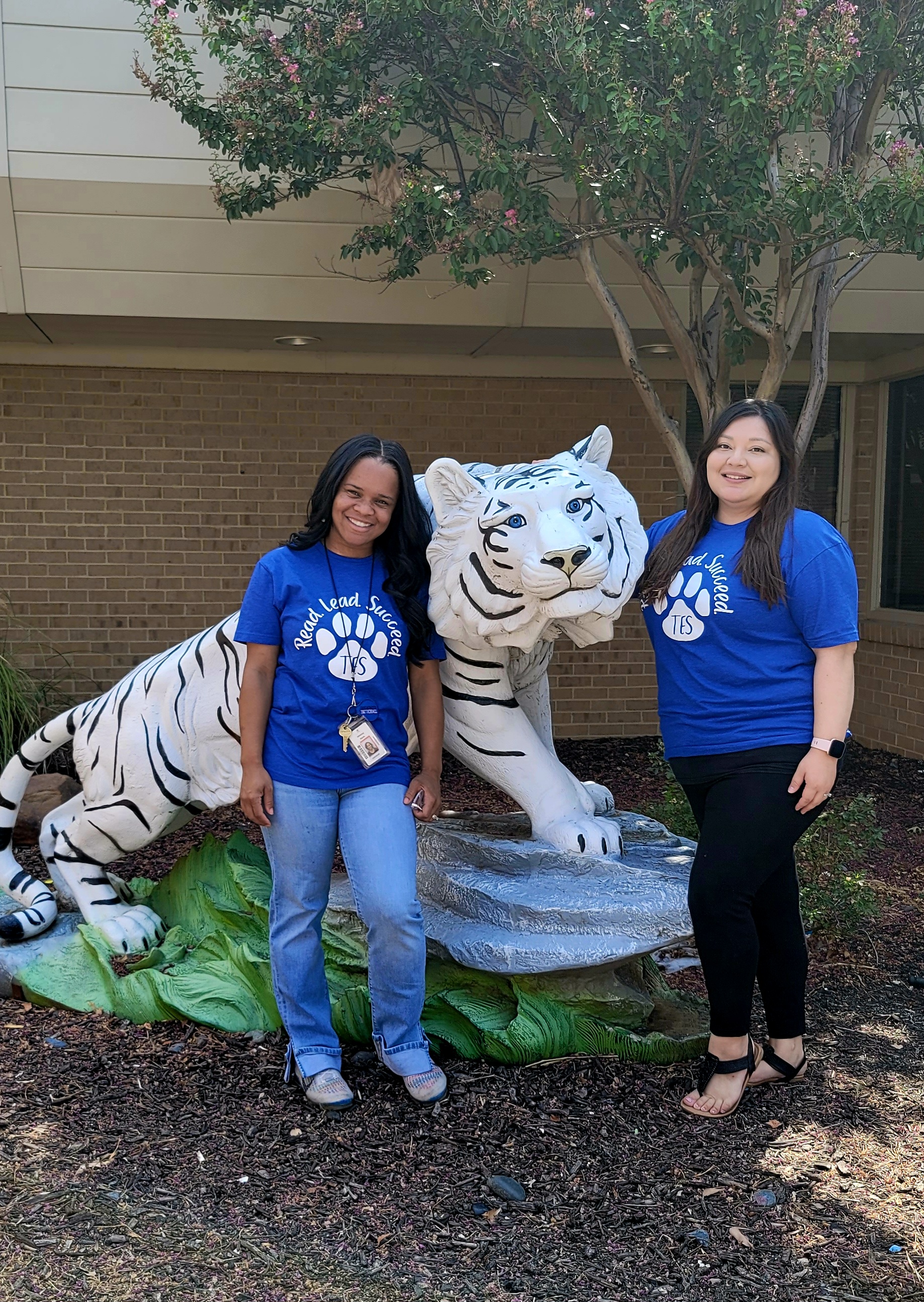 Counseling timberline elementary school