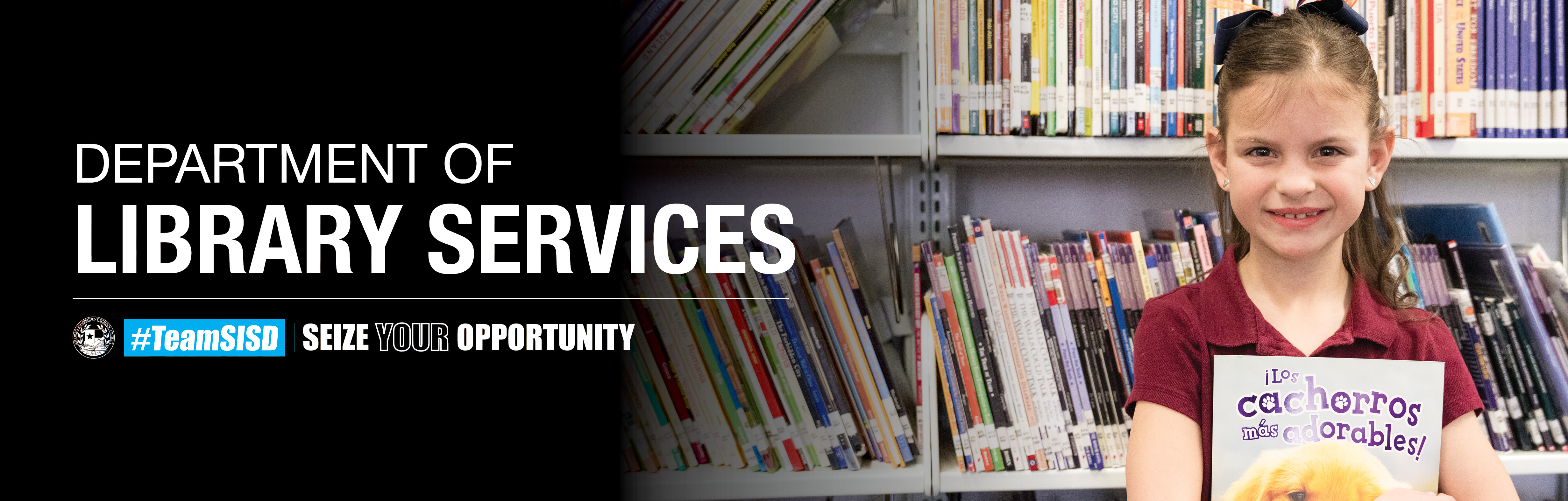 Department of Library Services web header graphic