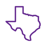 texas icon