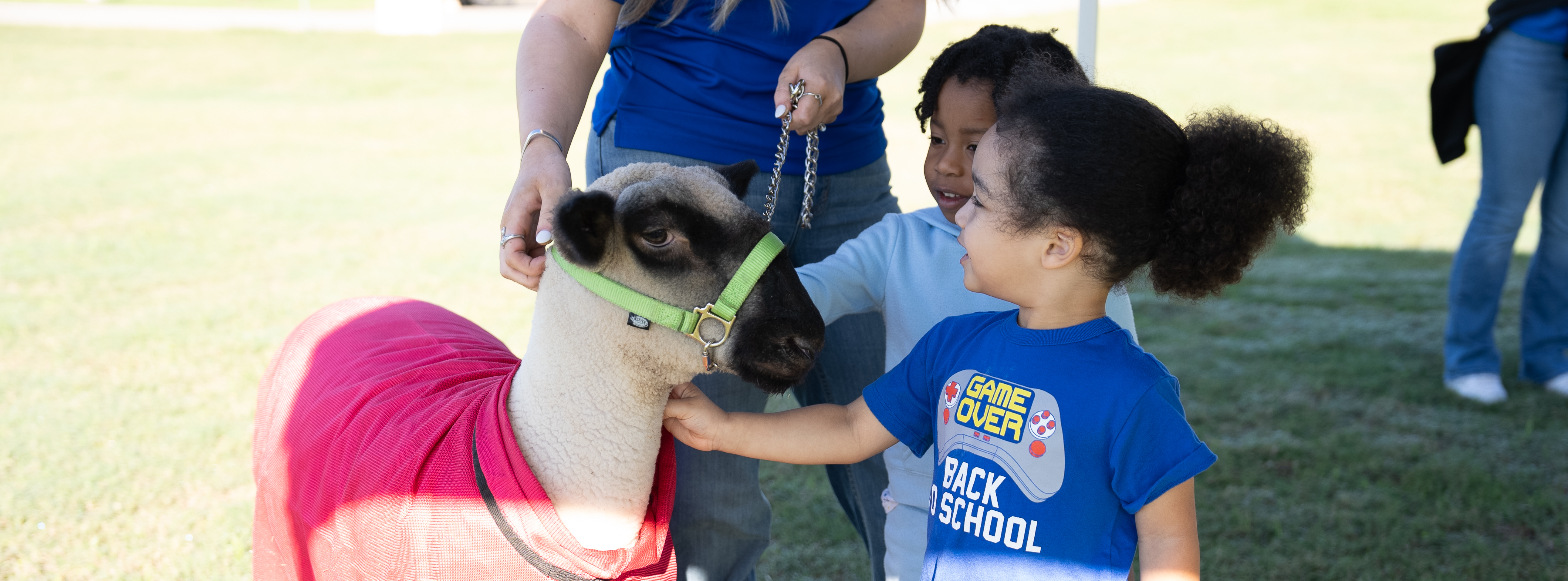 FFA Petting Zoo at Glenda Arnold