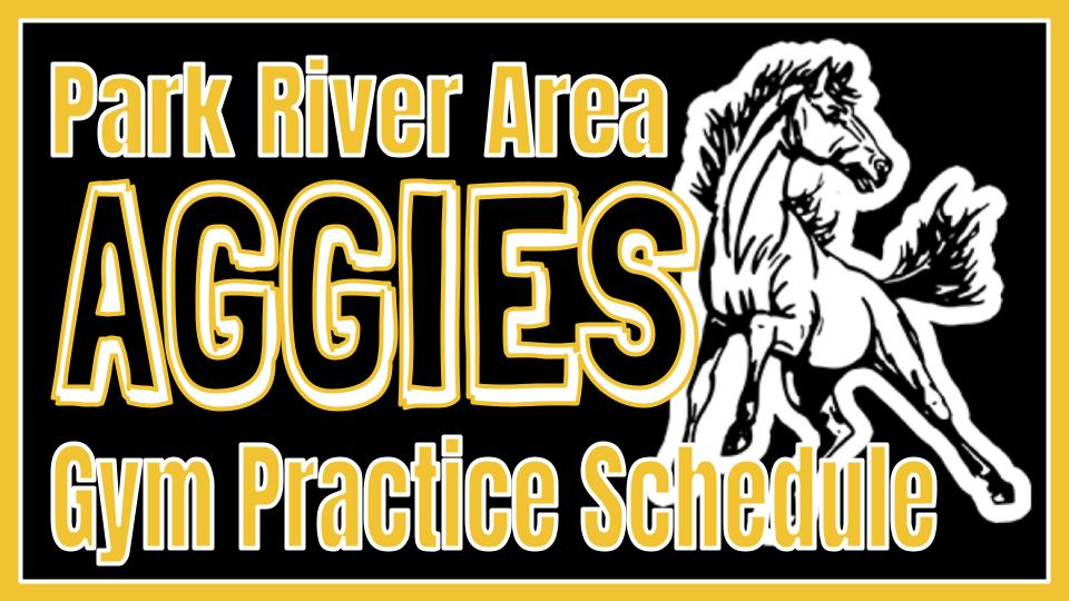 Practice Schedule