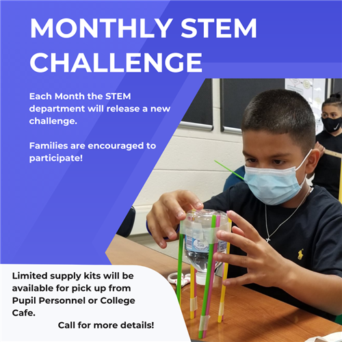 Monthly STEM Challenge