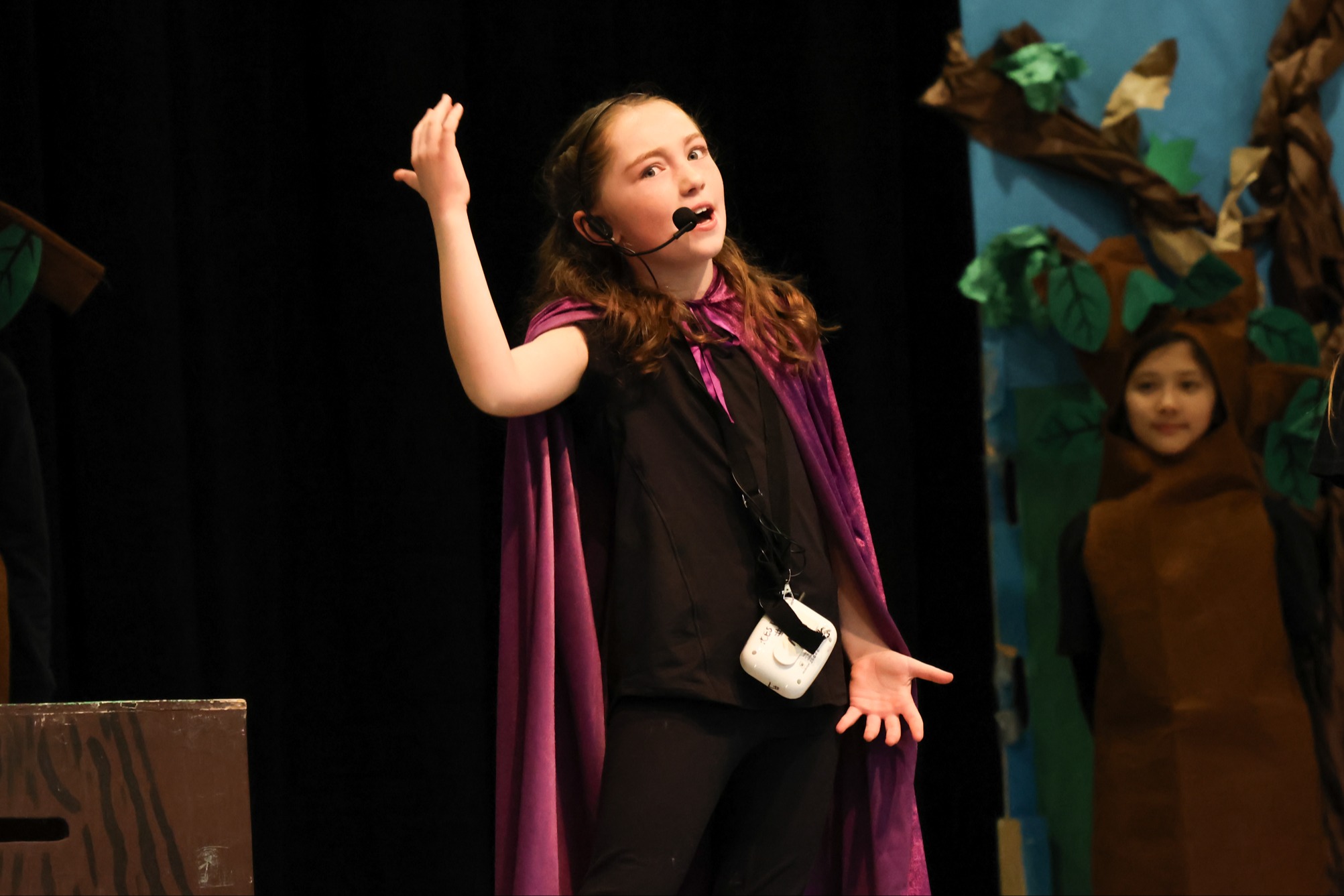PCES School Play
