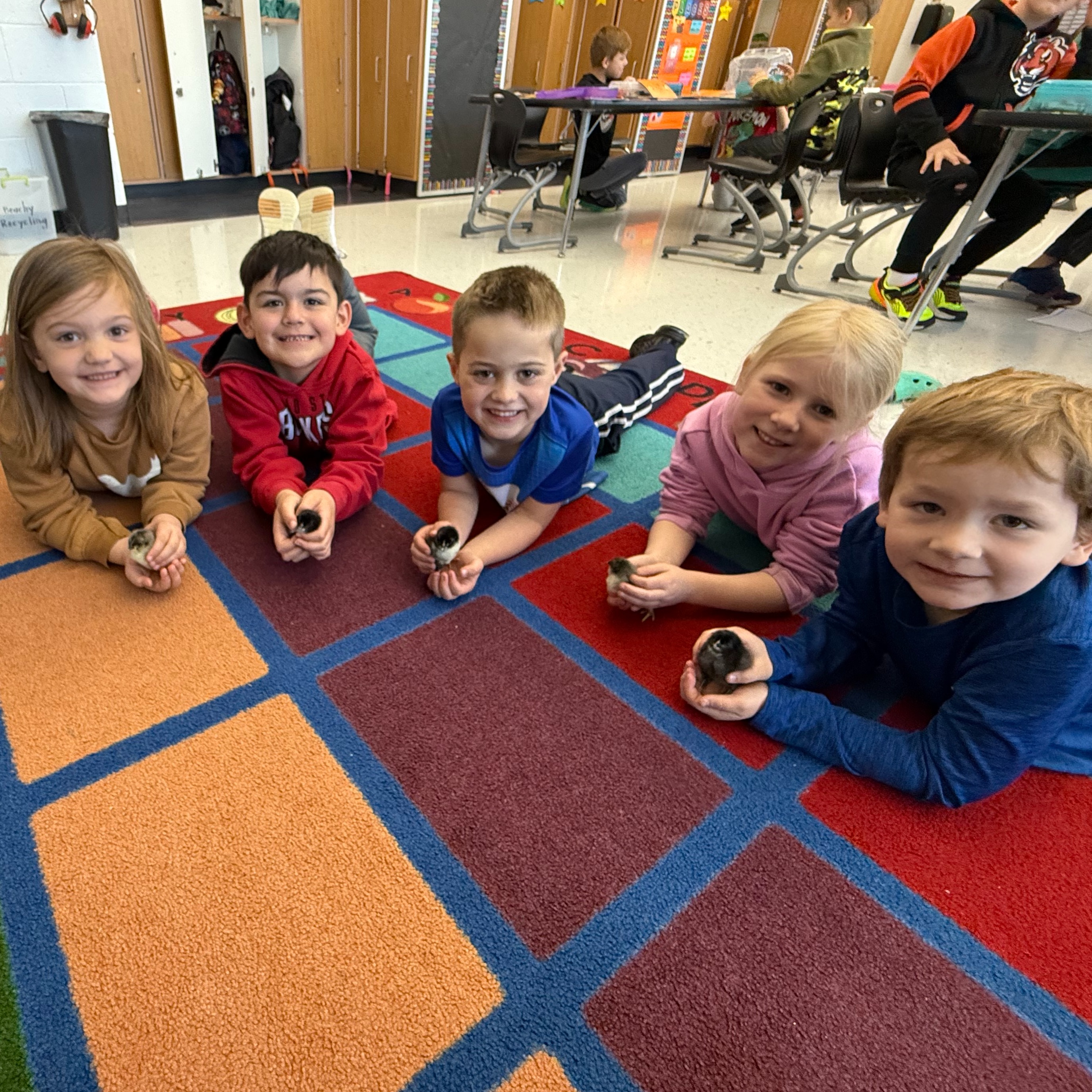 PCES Students with baby chicks
