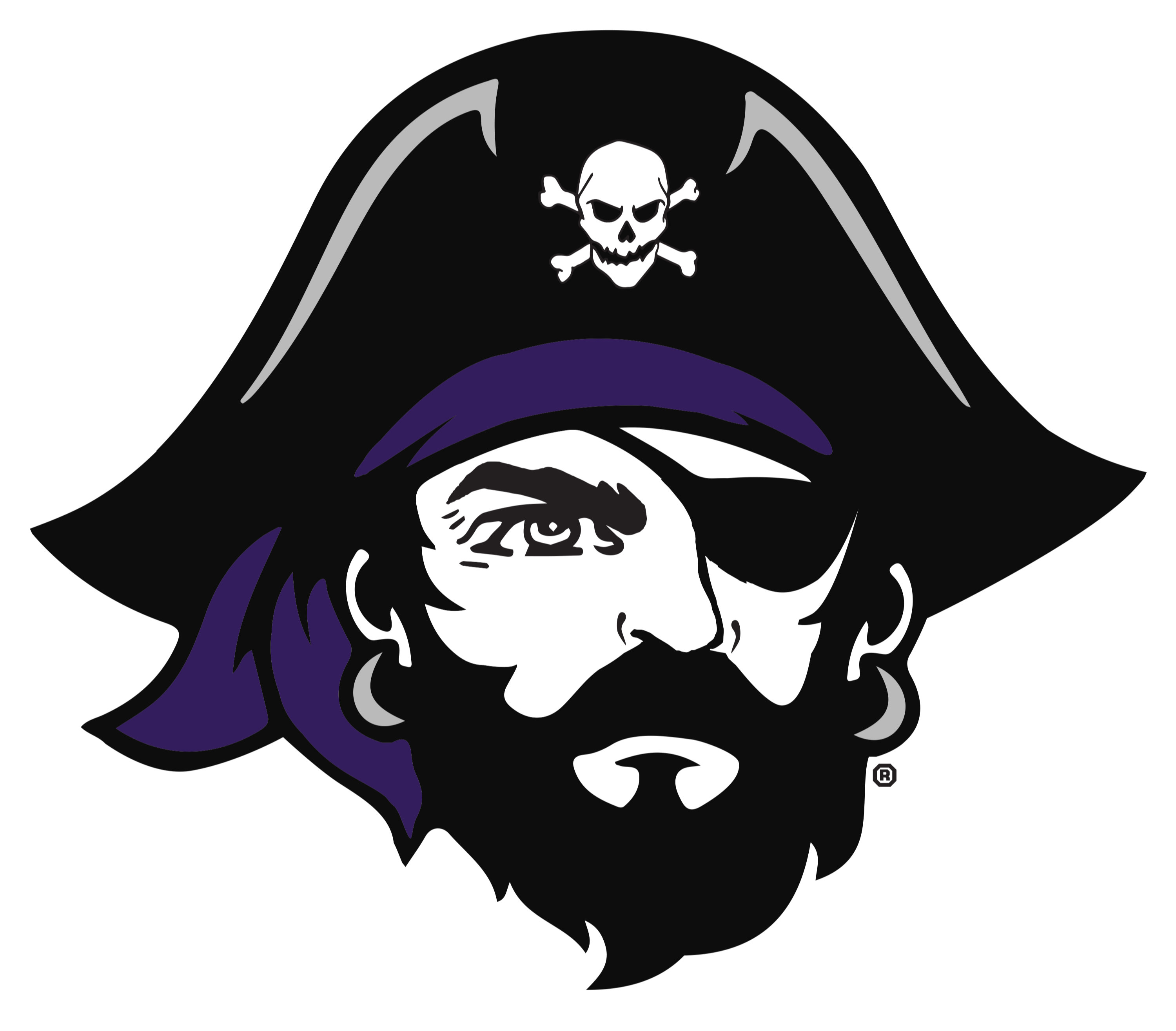 grantsburg school district pirate head purple