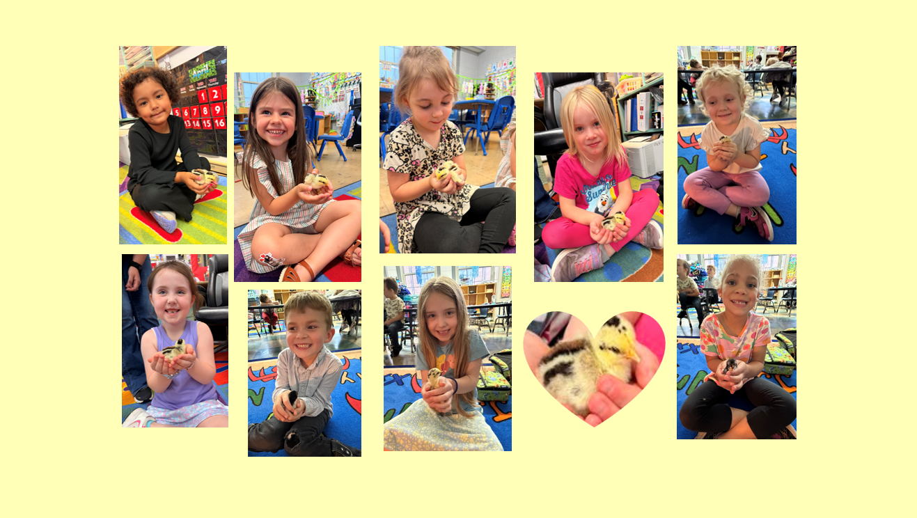 CES Students with baby chicks