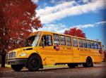 school bus surrounded by autumn trees