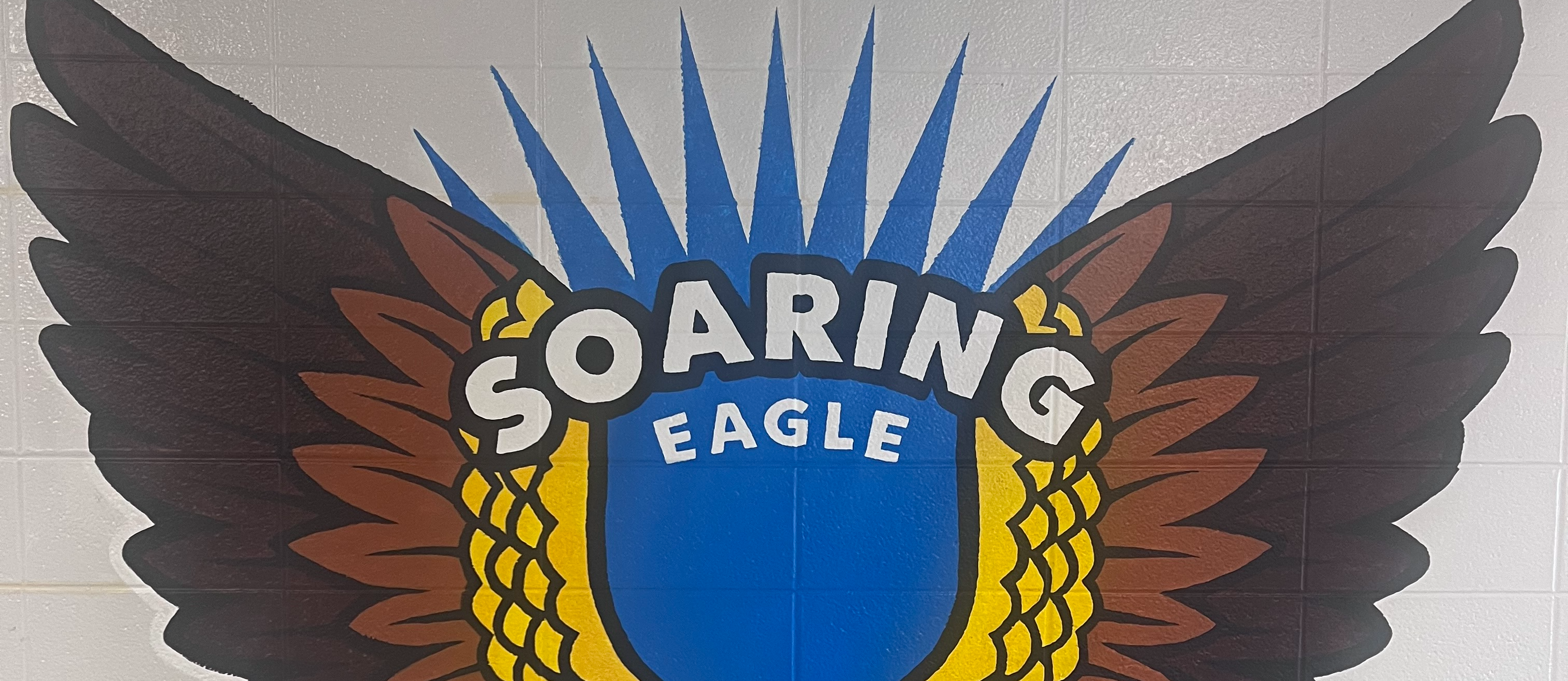 Soaring Eagle Wall