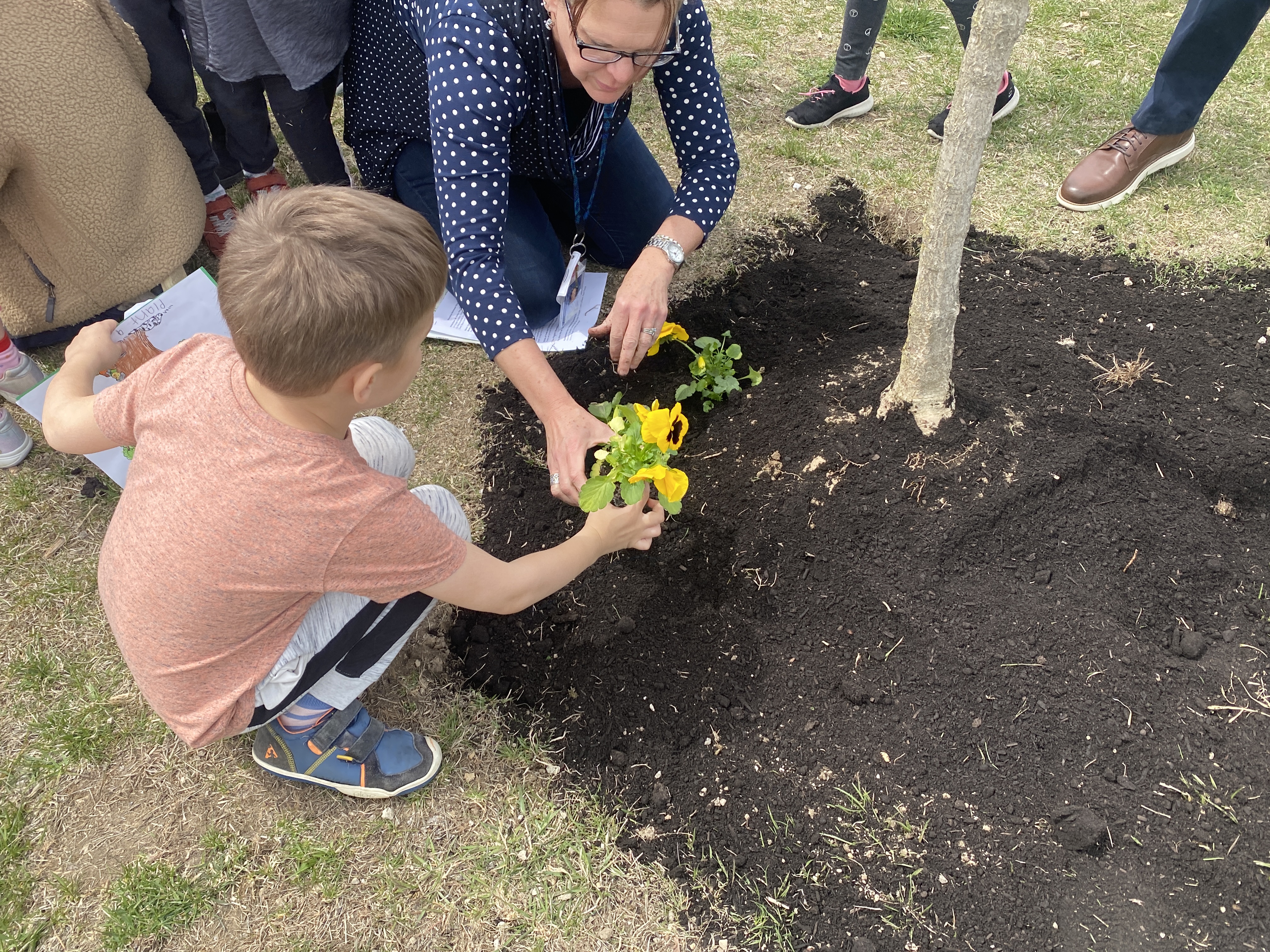 Students planting flowers and tree outdoors arbor day