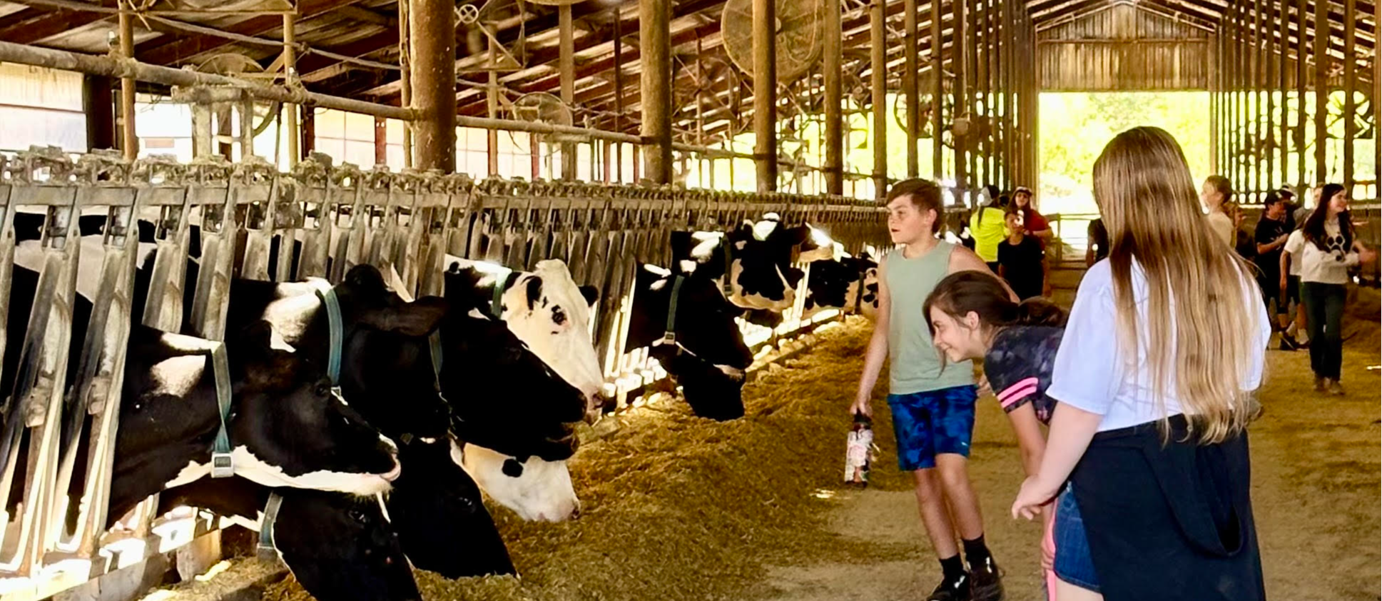 Students at dairy